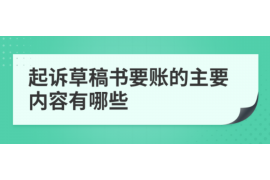 柳林融资清欠服务